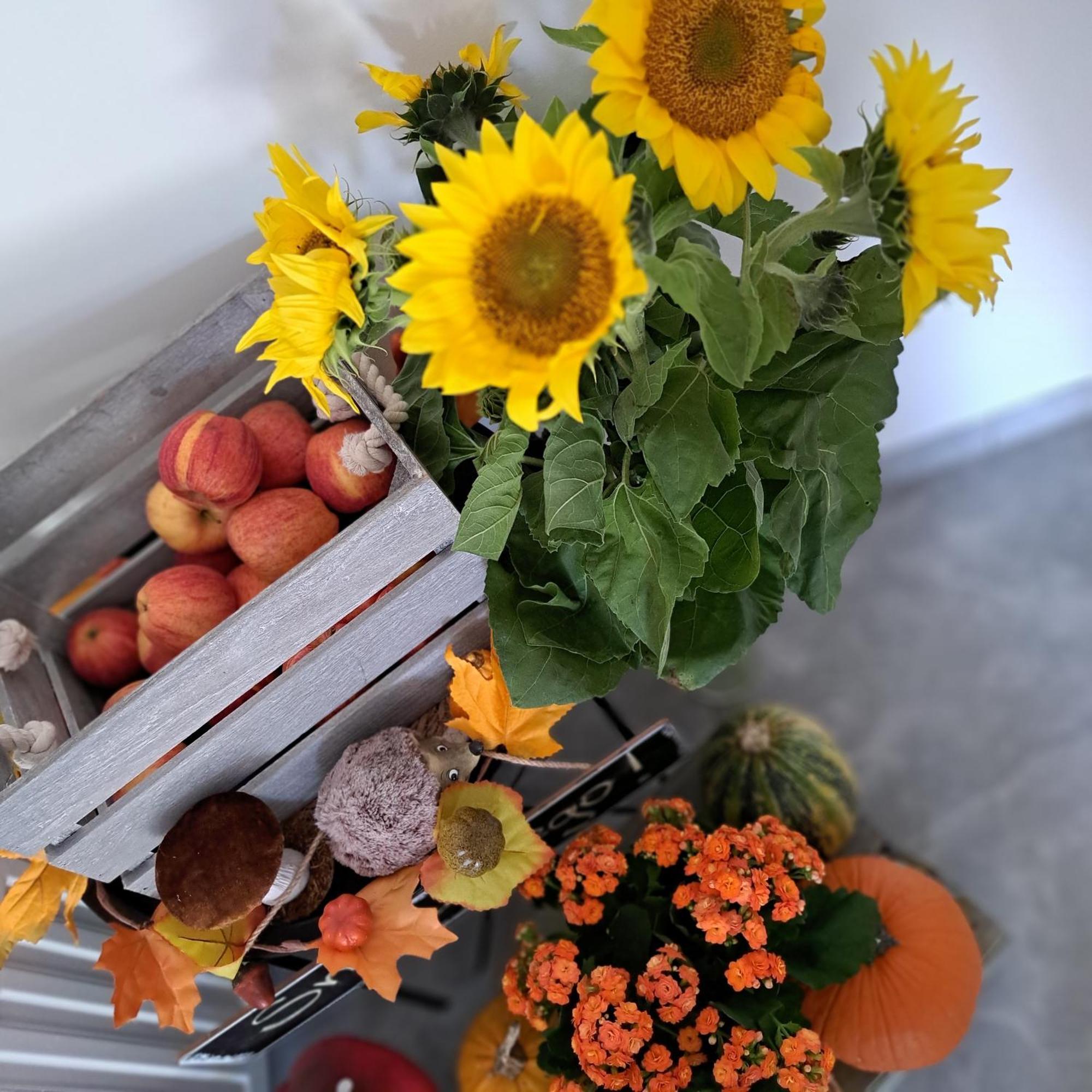 Solek Apartamenty I Pokoje Goscinne Mielno  Dış mekan fotoğraf